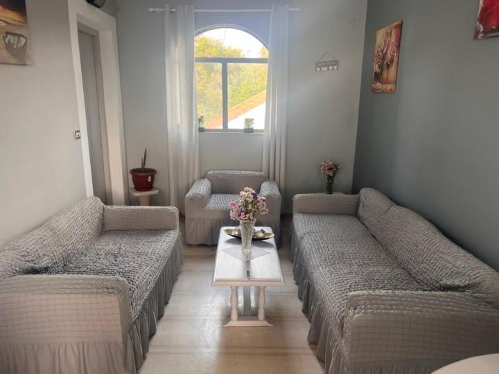 카보스 Thimioshouse 아파트 외부 사진